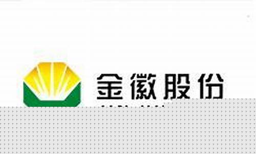 金徽股票(金徽股票价格今日行情走势)_https://www.luoxuangg888.com_科创板_第1张