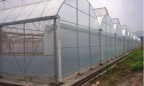 大棚塑料膜的价格表(气泡膜生产设备多少钱一台)_https://www.luoxuangg888.com_科创板_第1张