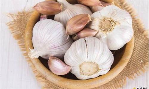 期货大蒜盘(大蒜期货电子盘)_https://www.luoxuangg888.com_深交所_第1张