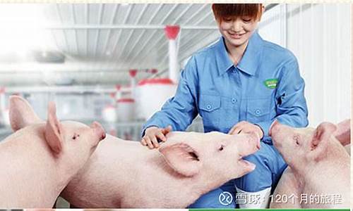 中国十大养猪集团2023(中国十大养猪集团出栏数)_https://www.luoxuangg888.com_深交所_第1张