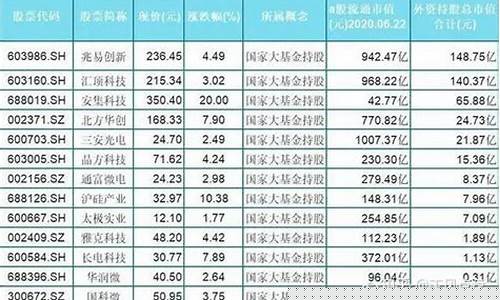 外资重仓股一览表(外资抢筹最多的10只股)_https://www.luoxuangg888.com_创业板_第1张