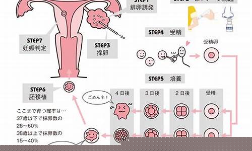 排卵期(排卵期计算)_https://www.luoxuangg888.com_创业板_第1张