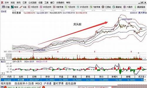 怎么判断龙头股(怎么看是龙头股)_https://www.luoxuangg888.com_科创板_第1张