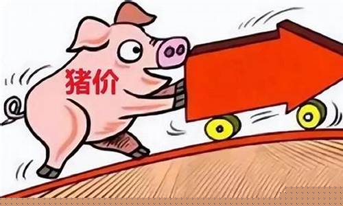 年底的猪价会上涨吗(年底猪价会怎么样)_https://www.luoxuangg888.com_上交所_第1张