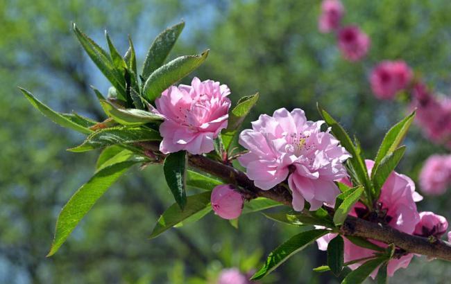 7月10日股市直播(7月10日股市直播回放)_https://www.luoxuangg888.com_上交所_第1张