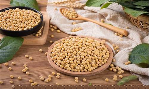 大豆期货交易平台(大豆期货交易平台仙踪林)_深交所_第1张_财经网 大豆期货交易平台(大豆期货交易平台仙踪林)_https://www.luoxuangg888.com_深交所_第1张