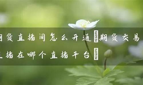 期货交易直播间怎么赚钱(怎么开直播间赚钱)_https://www.luoxuangg888.com_上交所_第1张