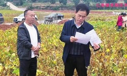 四川大豆期货小哥图片直播(四川大豆主产区)_https://www.luoxuangg888.com_上交所_第1张