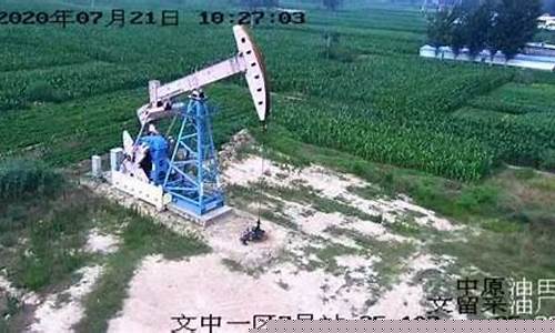 中原油田小视频直播下载(中原油田网下载)_https://www.luoxuangg888.com_北交所_第1张